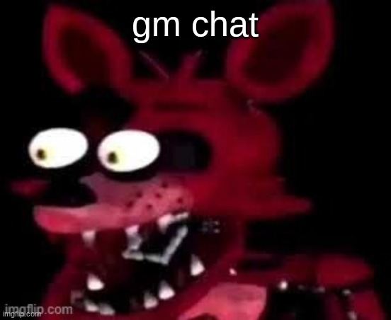 Foxy being surprised asf | gm chat | image tagged in foxy being surprised asf | made w/ Imgflip meme maker