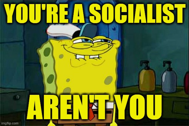 Don't You Squidward Meme | YOU'RE A SOCIALIST AREN'T YOU | image tagged in memes,don't you squidward | made w/ Imgflip meme maker