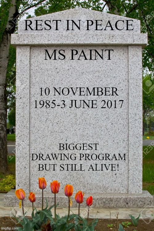 rest in peace MS paint | REST IN PEACE; MS PAINT; 10 NOVEMBER 1985-3 JUNE 2017; BIGGEST DRAWING PROGRAM BUT STILL ALIVE! | image tagged in blank gravestone,ms paint | made w/ Imgflip meme maker