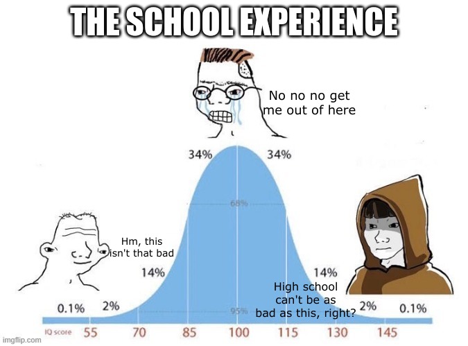 The School Experience | THE SCHOOL EXPERIENCE; No no no get me out of here; Hm, this isn't that bad; High school can't be as bad as this, right? | image tagged in bell curve,middle school,high school,elementary,school | made w/ Imgflip meme maker