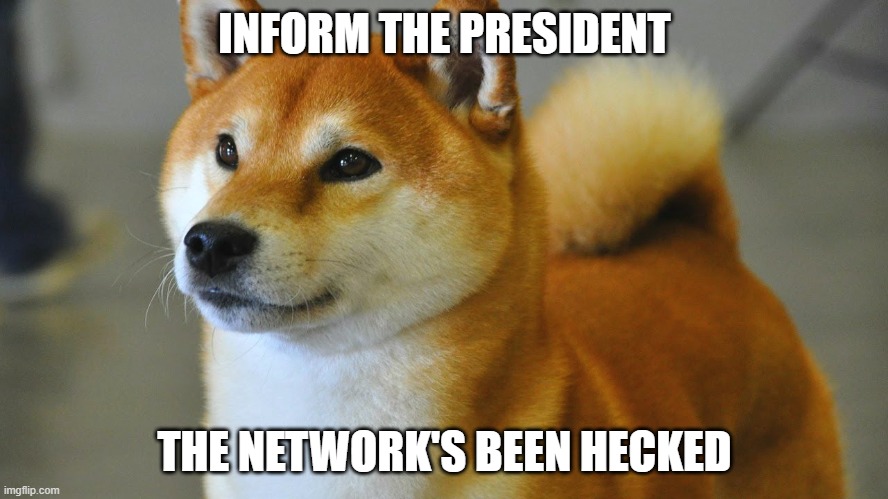 I'm a shiba inu  | INFORM THE PRESIDENT; THE NETWORK'S BEEN HECKED | image tagged in i'm a shiba inu | made w/ Imgflip meme maker