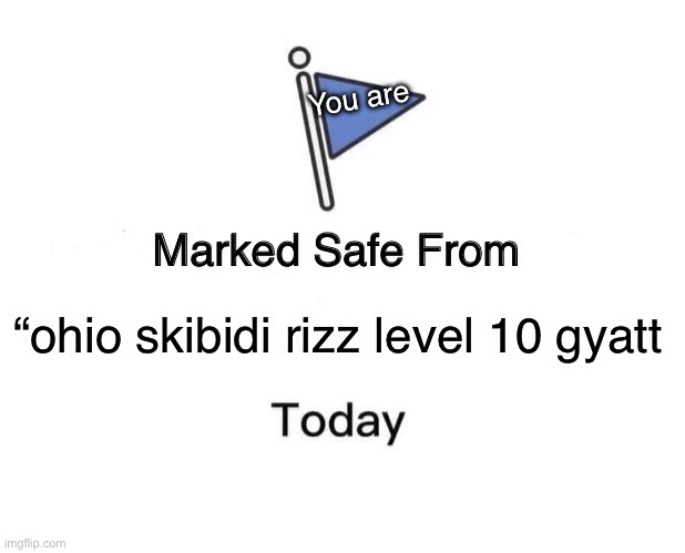 What can I say except your welcome | You are; “ohio skibidi rizz level 10 gyatt | image tagged in memes,marked safe from | made w/ Imgflip meme maker