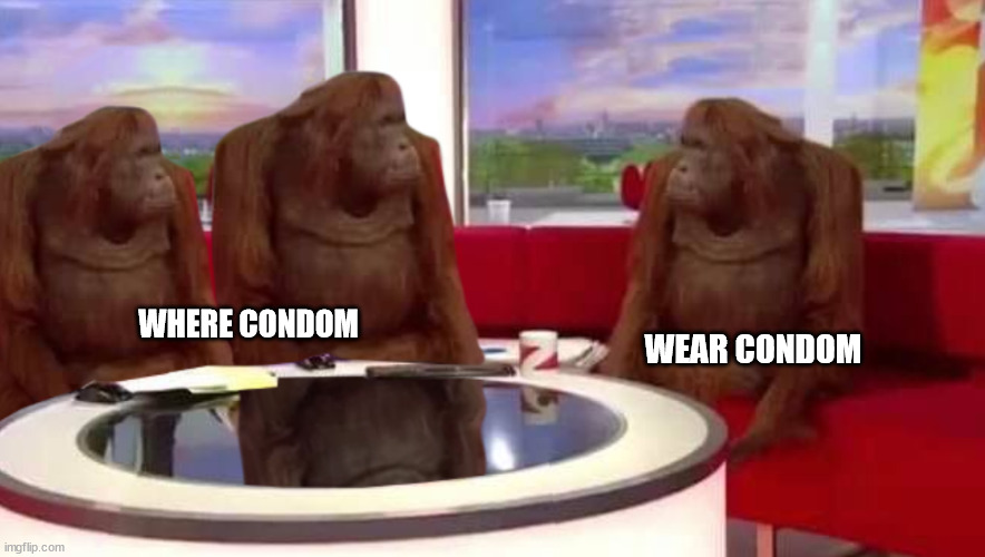 where monkey | WHERE CONDOM WEAR CONDOM | image tagged in where monkey | made w/ Imgflip meme maker