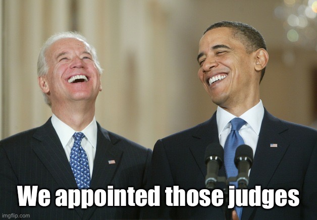 Biden Obama laugh | We appointed those judges | image tagged in biden obama laugh | made w/ Imgflip meme maker