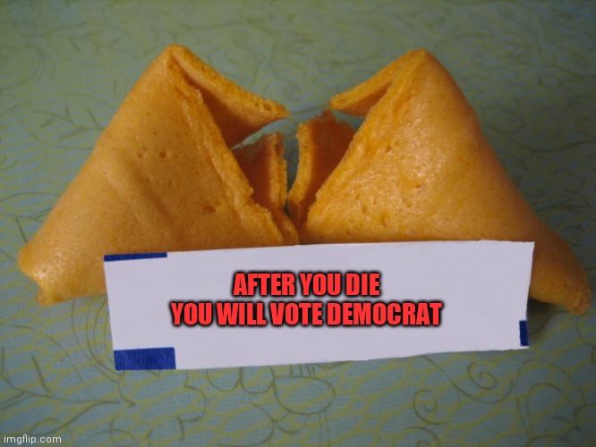 Vote Democrat | AFTER YOU DIE YOU WILL VOTE DEMOCRAT | image tagged in blank fortune cookie,funny memes | made w/ Imgflip meme maker
