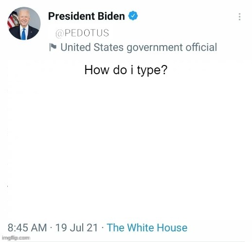 Bro's too old for this tweet | How do i type? | image tagged in joe biden,is too old for this | made w/ Imgflip meme maker