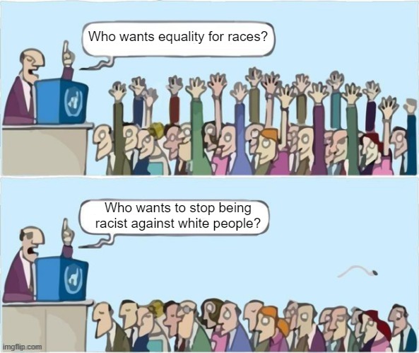 Wokes are racists | Who wants equality for races? Who wants to stop being racist against white people? | image tagged in people raising hands | made w/ Imgflip meme maker