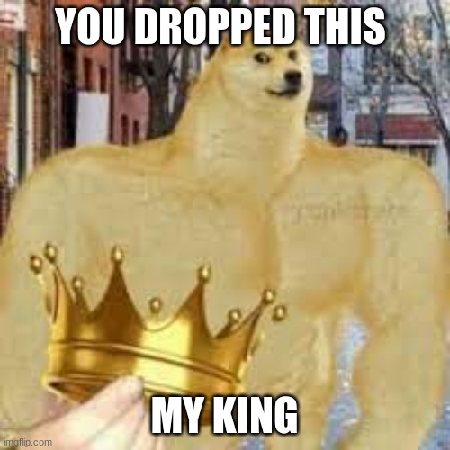 You dropped this, king template | YOU DROPPED THIS MY KING | image tagged in you dropped this king template | made w/ Imgflip meme maker