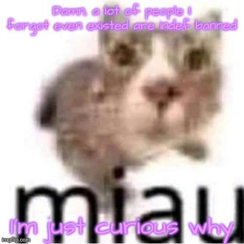 Not mad or anything, just wanting to know what they did | Damn, a lot of people I forgot even existed are indef banned; I'm just curious why | image tagged in miau | made w/ Imgflip meme maker