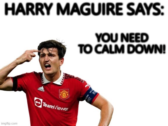 Harry Maguire says | YOU NEED TO CALM DOWN! | image tagged in harry maguire says | made w/ Imgflip meme maker