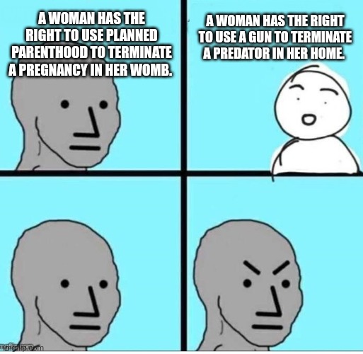 Abortion vs Gun Rights | A WOMAN HAS THE RIGHT TO USE PLANNED PARENTHOOD TO TERMINATE A PREGNANCY IN HER WOMB. A WOMAN HAS THE RIGHT TO USE A GUN TO TERMINATE A PREDATOR IN HER HOME. | image tagged in npc 4 panel | made w/ Imgflip meme maker