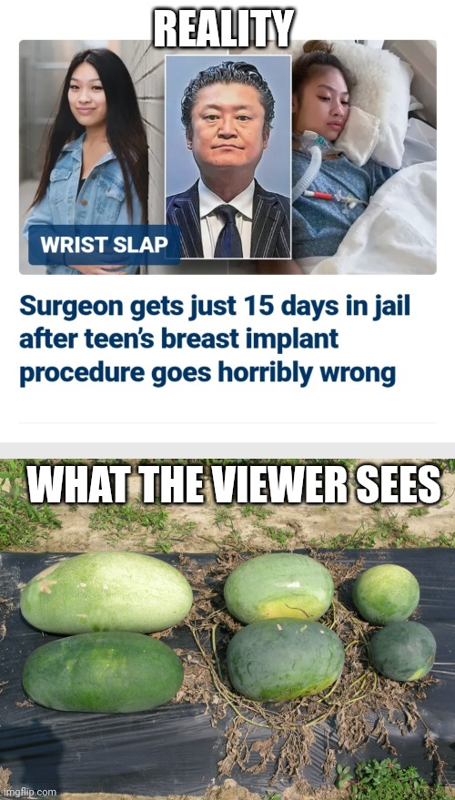 News fail | REALITY; WHAT THE VIEWER SEES | image tagged in fake news,fox news,watermelons | made w/ Imgflip meme maker