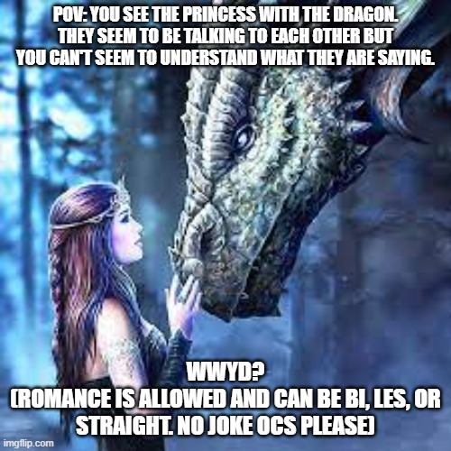 No joke Oc's please! No you cannot kill the Princess or the Dragon. | POV: YOU SEE THE PRINCESS WITH THE DRAGON. THEY SEEM TO BE TALKING TO EACH OTHER BUT YOU CAN'T SEEM TO UNDERSTAND WHAT THEY ARE SAYING. WWYD?
(ROMANCE IS ALLOWED AND CAN BE BI, LES, OR STRAIGHT. NO JOKE OCS PLEASE) | made w/ Imgflip meme maker
