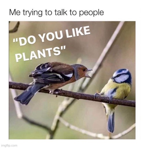 I LIKE PLANTS | made w/ Imgflip meme maker