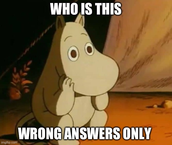 moomin | WHO IS THIS; WRONG ANSWERS ONLY | image tagged in moomin | made w/ Imgflip meme maker