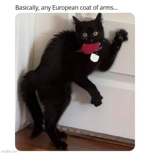 so true! lol | image tagged in funny,coat of arms,cat,meme | made w/ Imgflip meme maker