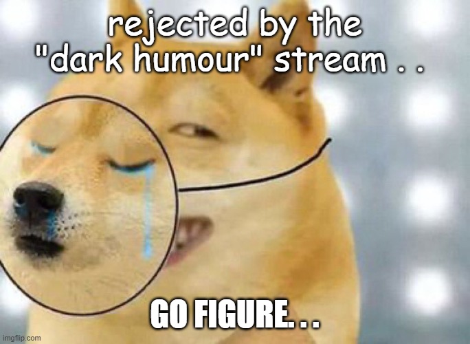 Doge Fake Crying | rejected by the "dark humour" stream . . GO FIGURE. . . | image tagged in doge fake crying | made w/ Imgflip meme maker