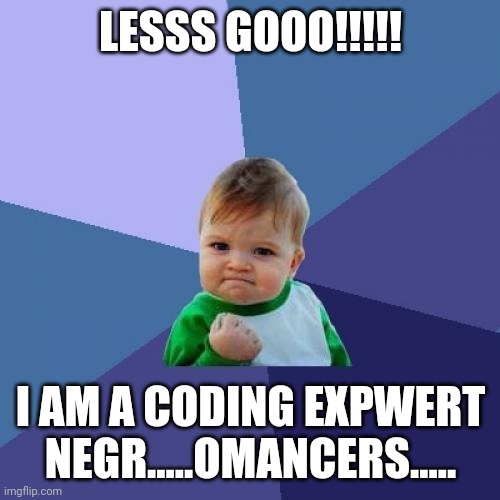 LESSS GOOO!!!!! I AM A CODING EXPWERT NEGR.....OMANCERS..... | image tagged in memes,success kid | made w/ Imgflip meme maker