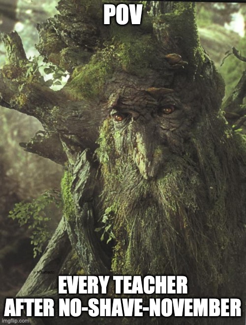 Tree Beard | POV; EVERY TEACHER AFTER NO-SHAVE-NOVEMBER | image tagged in tree beard | made w/ Imgflip meme maker