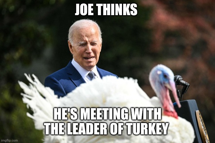 Joe biden | JOE THINKS; HE'S MEETING WITH THE LEADER OF TURKEY | image tagged in turkeys | made w/ Imgflip meme maker