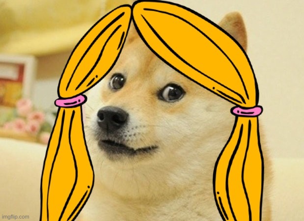 female doge | image tagged in female doge | made w/ Imgflip meme maker