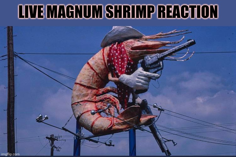 LIVE MAGNUM SHRIMP REACTION | made w/ Imgflip meme maker