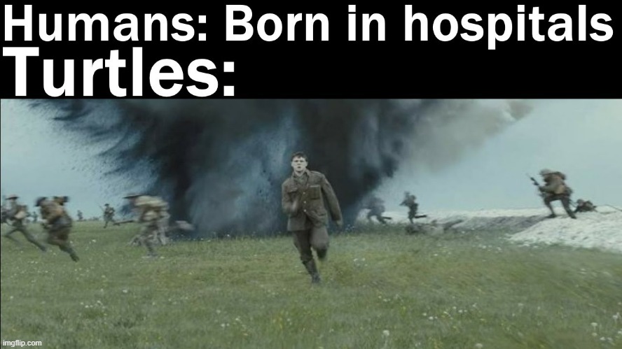 image tagged in funny,memes | made w/ Imgflip meme maker