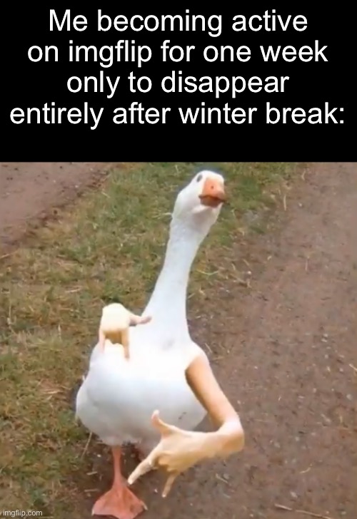 E | Me becoming active on imgflip for one week only to disappear entirely after winter break: | made w/ Imgflip meme maker