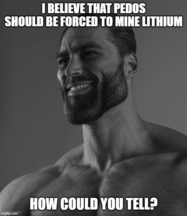You love miners, how bout you be a miner? | I BELIEVE THAT PEDOS SHOULD BE FORCED TO MINE LITHIUM; HOW COULD YOU TELL? | image tagged in giga chad | made w/ Imgflip meme maker