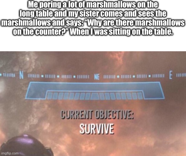 This is no joke true! | Me poring a lot of marshmallows on the long table and my sister comes and sees the marshmallows and says: “Why are there marshmallows on the counter?” When I was sitting on the table. | image tagged in blank white template,current objective survive | made w/ Imgflip meme maker
