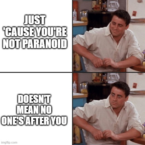 Joey Friends | JUST 'CAUSE YOU'RE NOT PARANOID DOESN'T MEAN NO ONE'S AFTER YOU | image tagged in joey friends | made w/ Imgflip meme maker