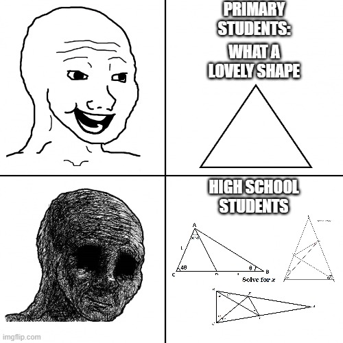 High School Maths | PRIMARY STUDENTS:; WHAT A LOVELY SHAPE; HIGH SCHOOL STUDENTS | image tagged in happy wojak vs depressed wojak | made w/ Imgflip meme maker