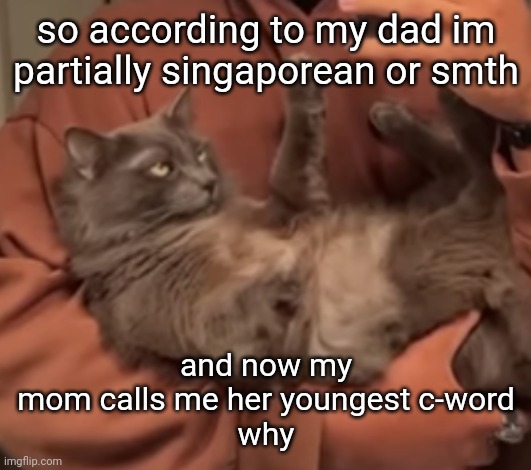 im not even half like ? | so according to my dad im partially singaporean or smth; and now my mom calls me her youngest c-word
why | image tagged in harveyyyy | made w/ Imgflip meme maker