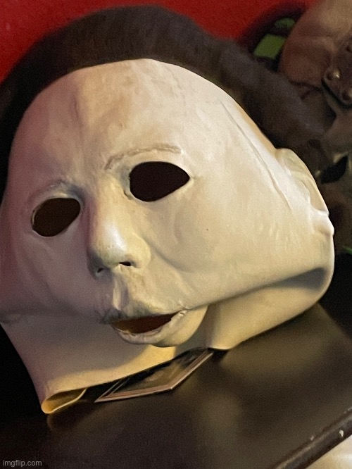 I took this if my Micheal myers mask | image tagged in cursed image | made w/ Imgflip meme maker