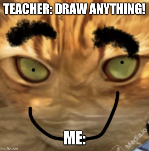1 in a million drawings | TEACHER: DRAW ANYTHING! ME: | image tagged in memes | made w/ Imgflip meme maker