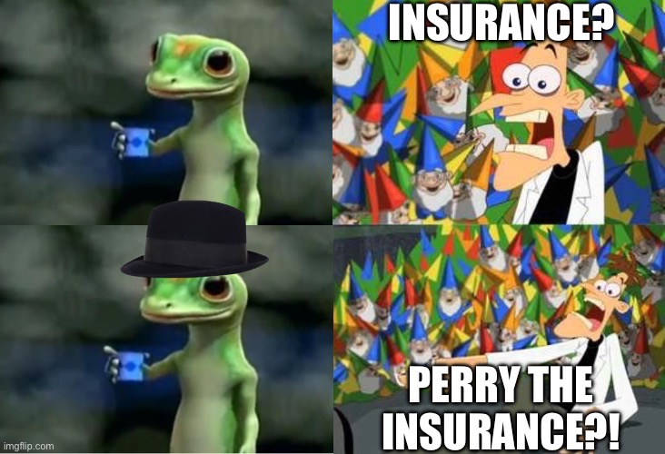 idk i just thought of this | INSURANCE? PERRY THE INSURANCE?! | image tagged in blank ordinary platypus meme | made w/ Imgflip meme maker
