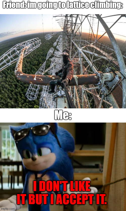 Buddy is a daredevil | Friend: im going to lattice climbing:; Me:; I DON'T LIKE IT BUT I ACCEPT IT. | image tagged in shiey,sonic the hedgehog,meme,lattice climbing,klettern,template | made w/ Imgflip meme maker