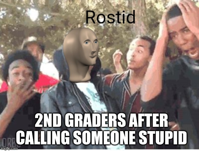 Meme Man Rostid | 2ND GRADERS AFTER CALLING SOMEONE STUPID | image tagged in meme man rostid | made w/ Imgflip meme maker