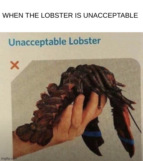 shitpost | WHEN THE LOBSTER IS UNACCEPTABLE | image tagged in lobster | made w/ Imgflip meme maker
