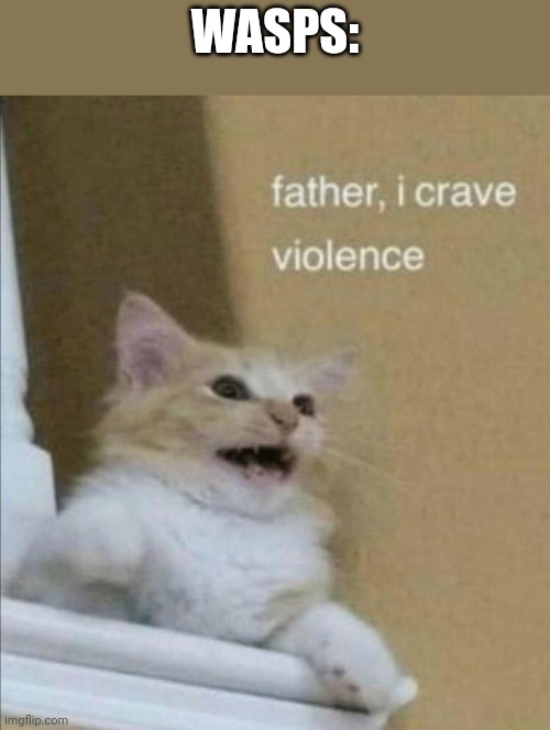 Father, I Crave Violence | WASPS: | image tagged in father i crave violence | made w/ Imgflip meme maker