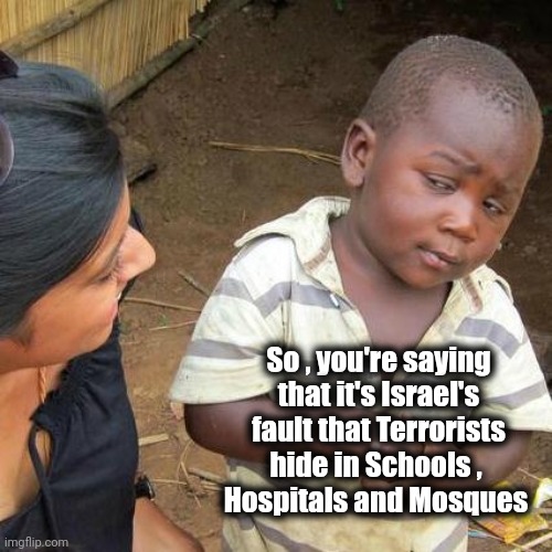 Third World Skeptical Kid Meme | So , you're saying that it's Israel's fault that Terrorists hide in Schools , 
Hospitals and Mosques | image tagged in memes,third world skeptical kid | made w/ Imgflip meme maker