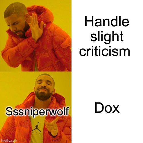 True | Handle slight criticism; Dox; Sssniperwolf | image tagged in memes,drake hotline bling | made w/ Imgflip meme maker
