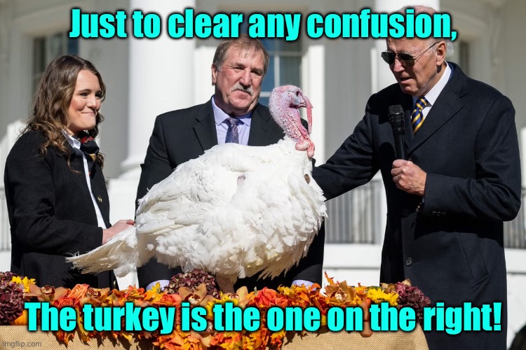 Political turkey | Just to clear any confusion, The turkey is the one on the right! | image tagged in confused,the turkey,one on right,politics,joe biden | made w/ Imgflip meme maker