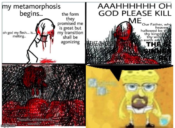 the metamorphosis | image tagged in the metamorphosis | made w/ Imgflip meme maker