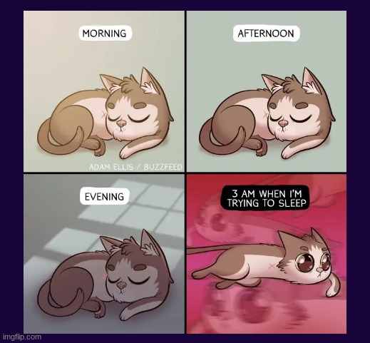 cat | image tagged in cat,sleep | made w/ Imgflip meme maker