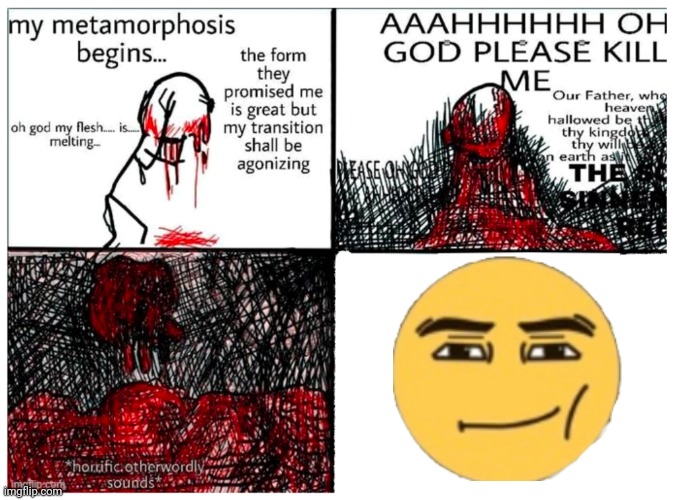 the metamorphosis | image tagged in the metamorphosis | made w/ Imgflip meme maker