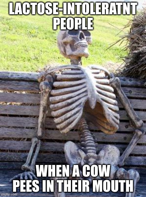 Waiting Skeleton | LACTOSE-INTOLERATNT PEOPLE; WHEN A COW PEES IN THEIR MOUTH | image tagged in memes,waiting skeleton | made w/ Imgflip meme maker