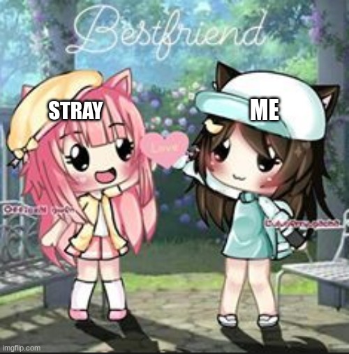 MA BFF | ME; STRAY | image tagged in gacha | made w/ Imgflip meme maker