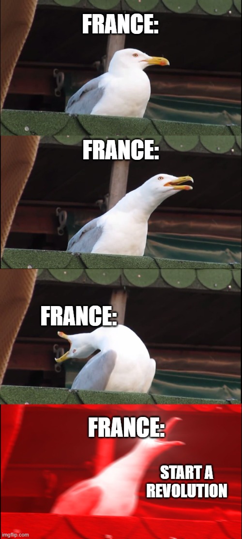 Inhaling Seagull Meme | FRANCE:; FRANCE:; FRANCE:; FRANCE:; START A REVOLUTION | image tagged in memes,inhaling seagull | made w/ Imgflip meme maker