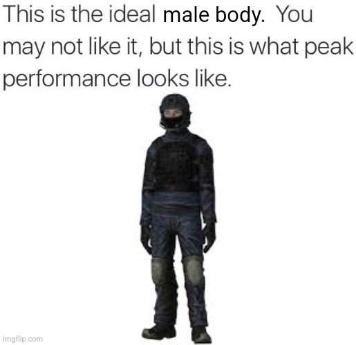 this is the ideal ___ | male body. | image tagged in this is the ideal ___ | made w/ Imgflip meme maker